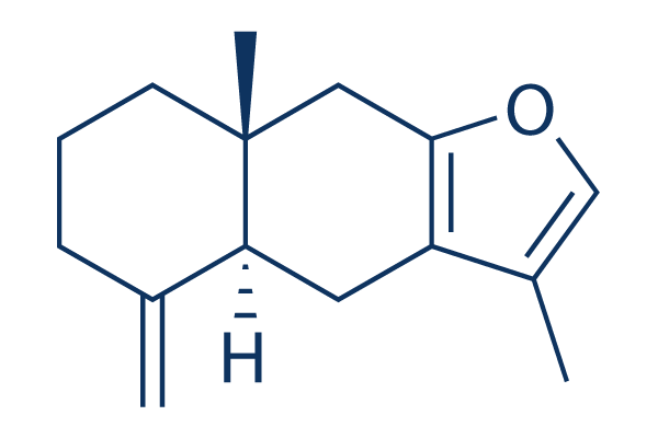 Atractylon