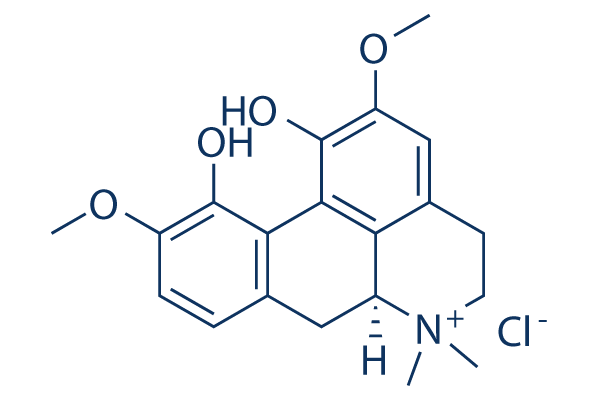 Magnoflorine chloride