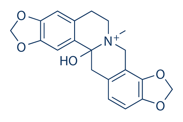 Hydroprotopine