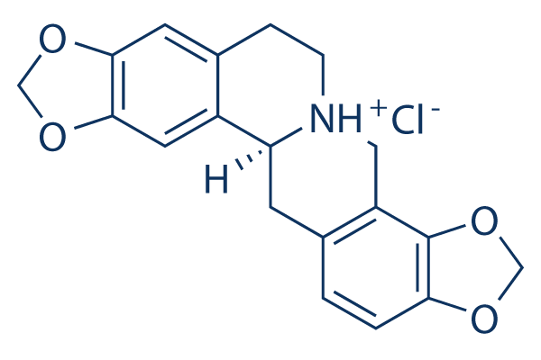 Stylopine hydrochloride