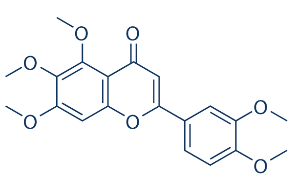 Sinensetin