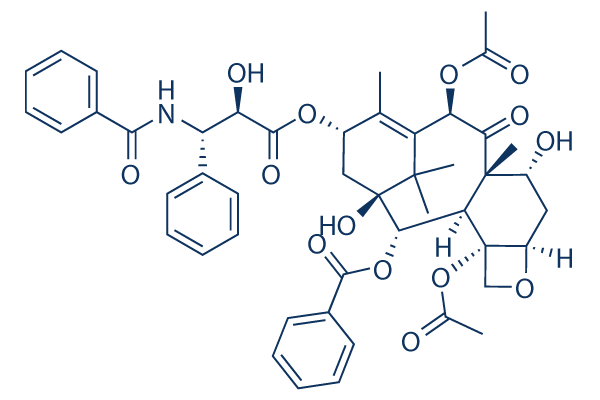 7-Epitaxol