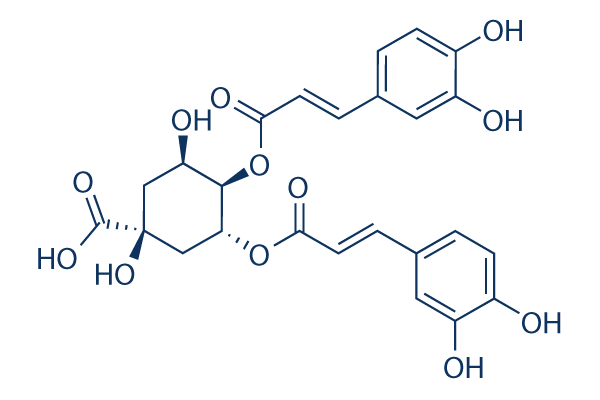 Isochlorogenic acid B