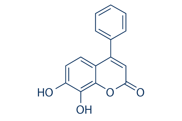 7,8-Dihydroxy-4-phenylcoumarin