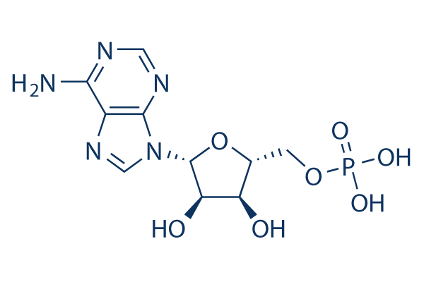 5\'-Adenylic acid