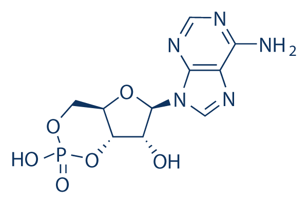 Adenosine Cyclophosphate