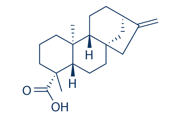 Kaurenoic acid